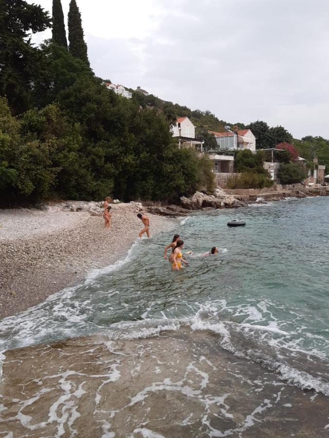 Oliva Apartments Lozica Dubrovnik Cameră foto